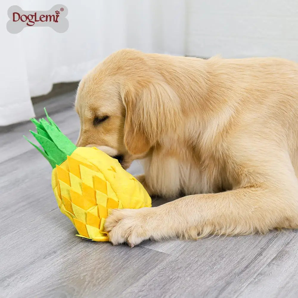 Pineapple Snuffle Toy