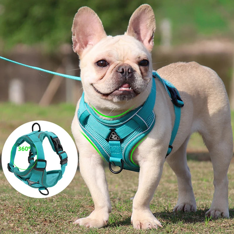 Supportive Dog Harness