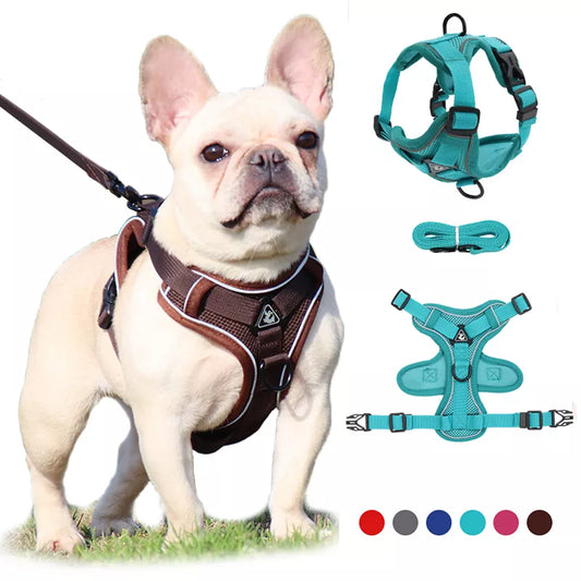 Supportive Dog Harness