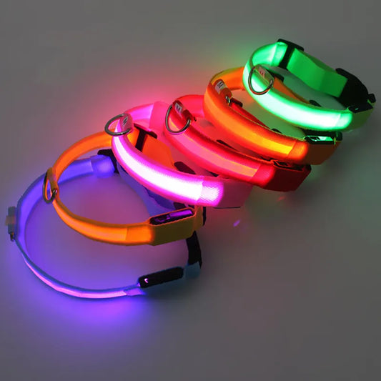 LED Light Up Dog Collar