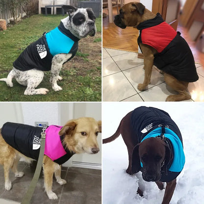 "The Dog Face" Dog Gilet