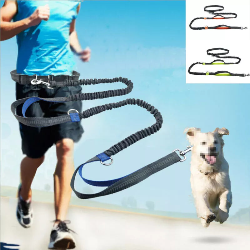 Dog Running Lead