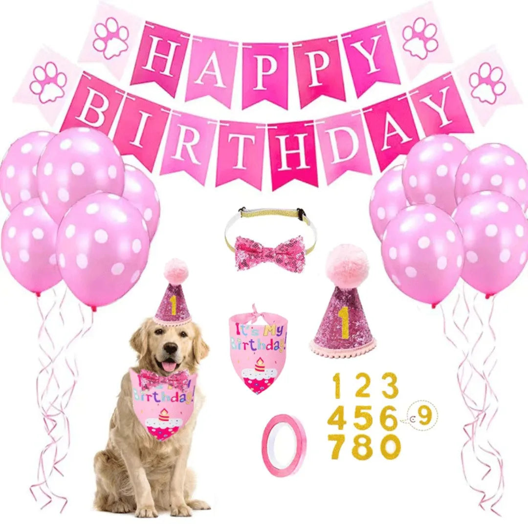 Birthday Girl Party Pack